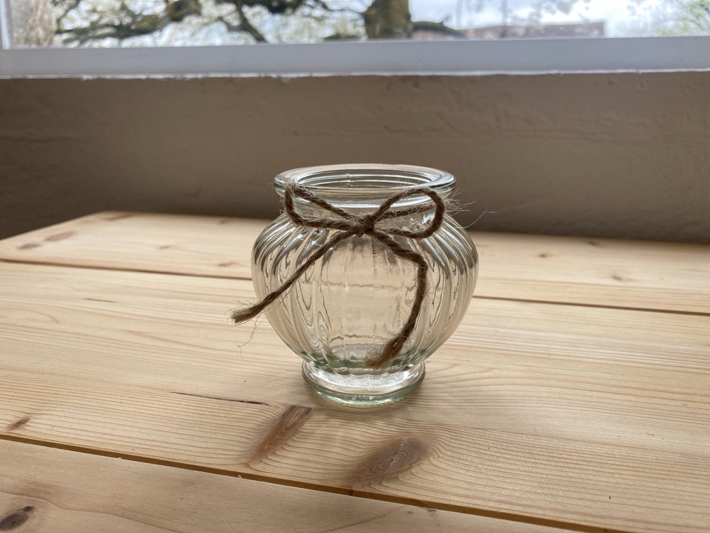 Mini Vase transparent