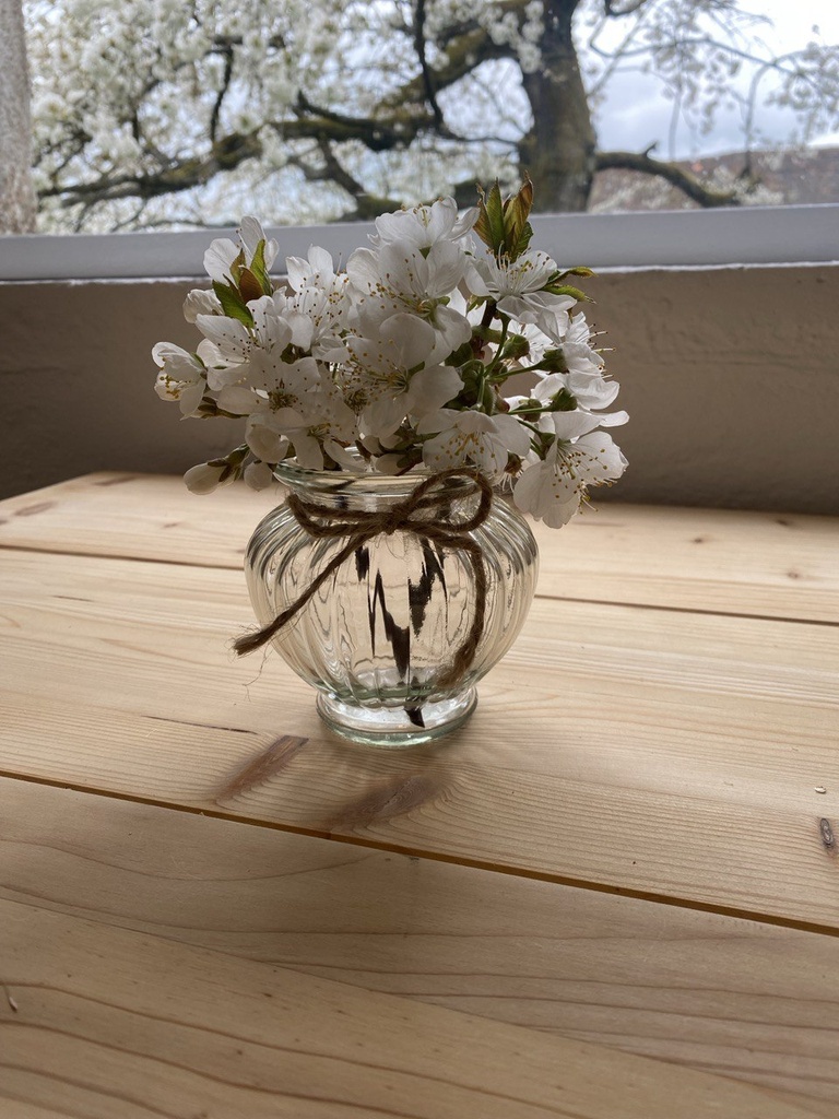 Mini Vase transparent