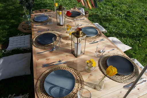 Picknick-Tisch