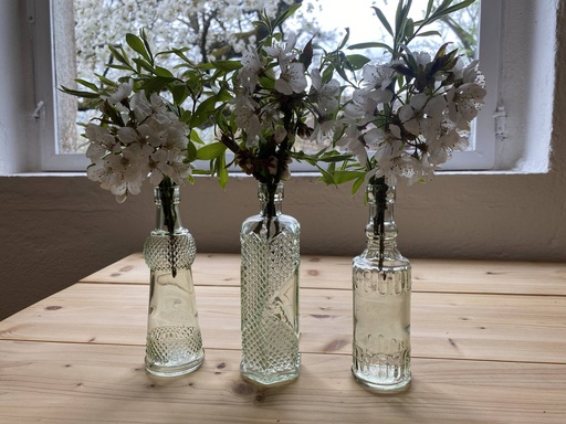 Kleine Flaschenvasen 3er Set (grüner Teint)
