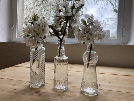Kleine Flaschenvasen 3er Set transparent